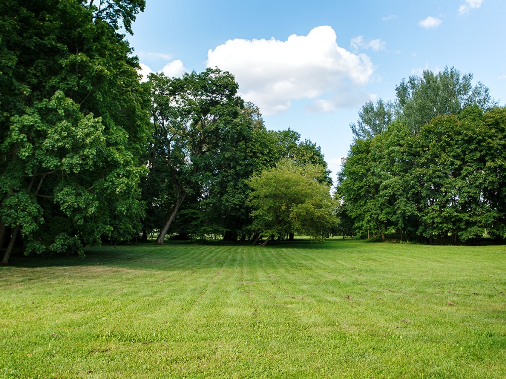 Nature background, park with meadow among green lush foliage and trees